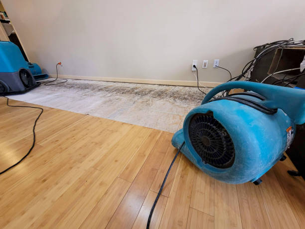 Professional Water Removal technician working in Lodge, SC